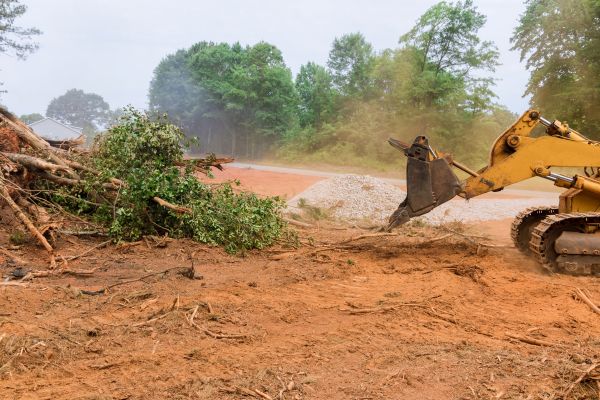 Ground Clearing in Santa Ana