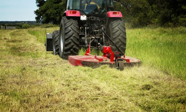 Brush Clearing Service in Santa Ana