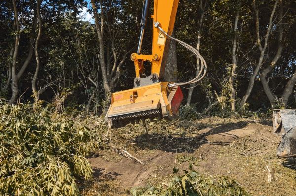 Brush Removal Service in Santa Ana