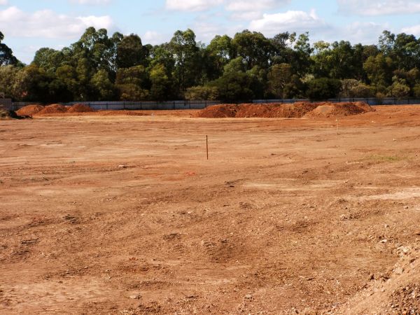 Cost of Field Clearing in Santa Ana