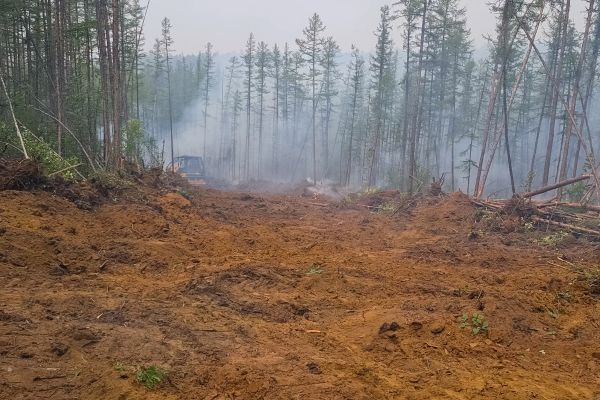 Cost of Hill Clearing in Santa Ana